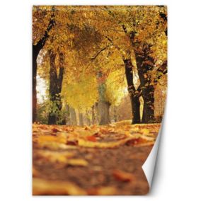 Fototapeta Feeby Złota jesień w parku  150x210 1 szt