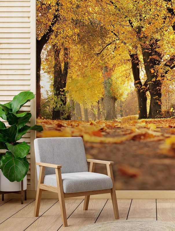 Fototapeta Feeby Złota jesień w parku  150x210 1 szt