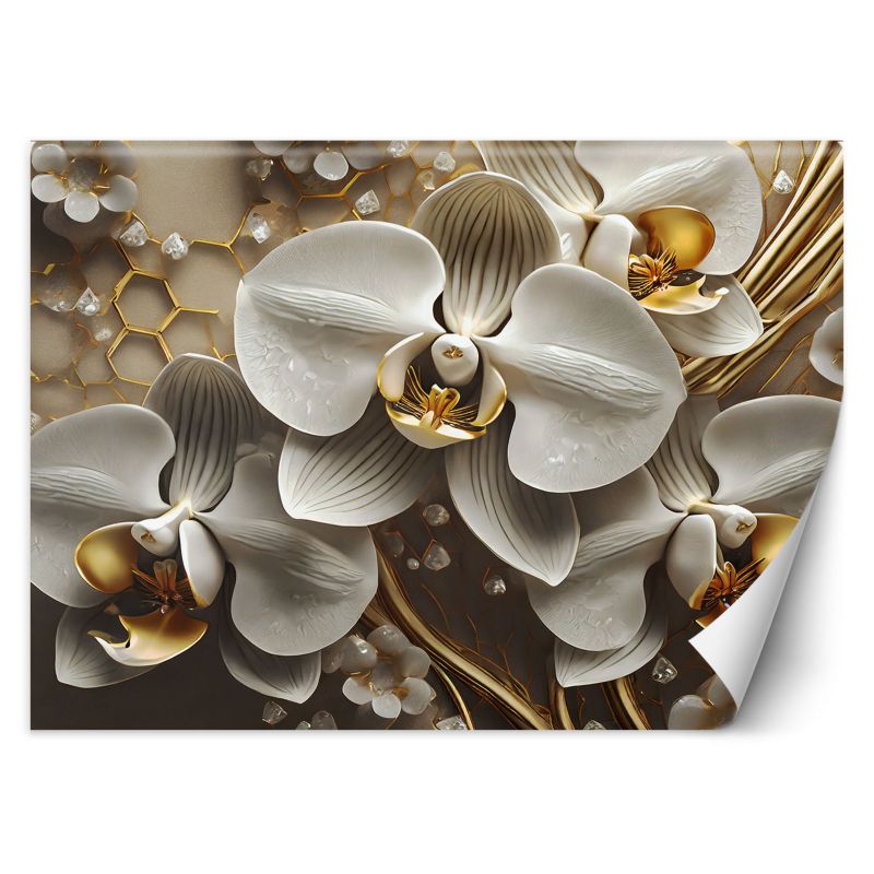 Fototapeta Feeby Złota Orchidea  100x70 1 szt