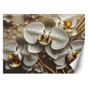 Fototapeta Feeby Złota Orchidea  100x70 1 szt