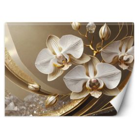 Fototapeta Feeby Złota Orchidea Kwiat 3D  350x245 1 szt