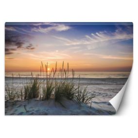 Fototapeta Feeby Zachód słońca na plaży  200x140 1 szt