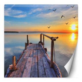 Fototapeta Feeby Zachód słońca nad jeziorem i lecące ptaki  250x250 1 szt