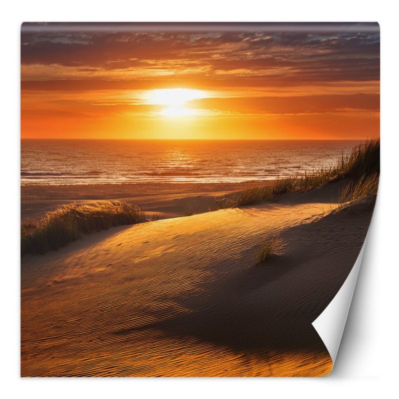 Fototapeta Feeby Zachód Słońca Plaża Natura  150x150 1 szt