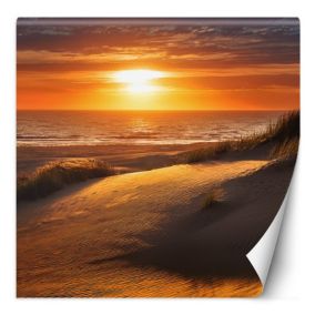 Fototapeta Feeby Zachód Słońca Plaża Natura  150x150 1 szt