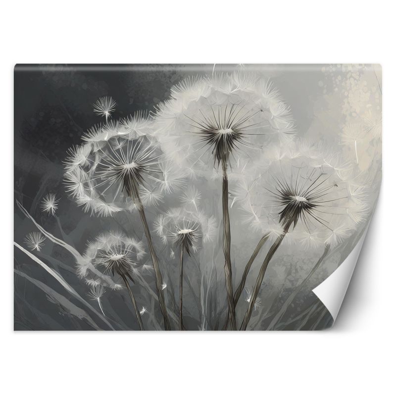 Fototapeta Feeby Zbliżenie na dmuchawce  450x315 1 szt
