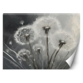 Fototapeta Feeby Zbliżenie na dmuchawce  450x315 1 szt