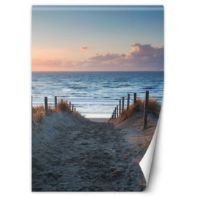 Fototapeta Feeby Zejście na plaże  100x140 1 szt