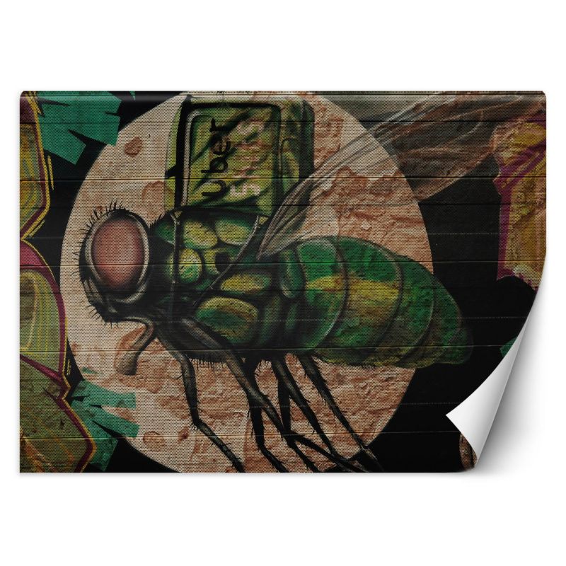 Fototapeta Feeby Zielona mucha i księżyc graffiti na ścianie  200x140 1 szt