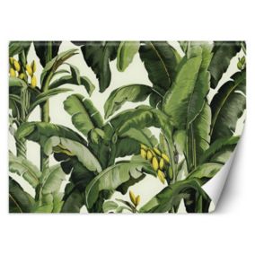 Fototapeta Feeby Zielone liście bananowca  300x210 1 szt