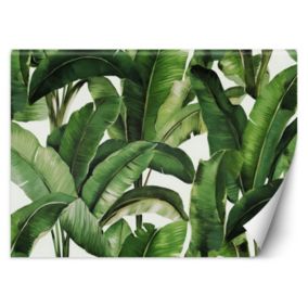 Fototapeta Feeby Zielone liście tropikalne  150x105 1 szt