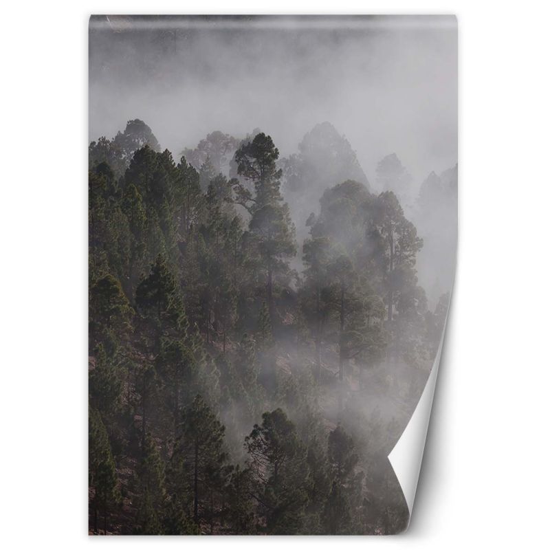 Fototapeta Feeby Zielony las we mgle  100x140 1 szt