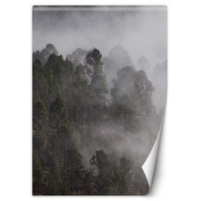 Fototapeta Feeby Zielony las we mgle  100x140 1 szt