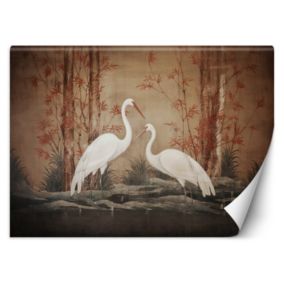 Fototapeta Feeby Zwierzę Ptak Orientalny  450x315 1 szt