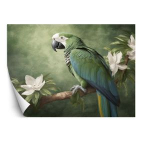 Fototapeta Feeby Zwierzęta Papuga Ptak  100x70 1 szt