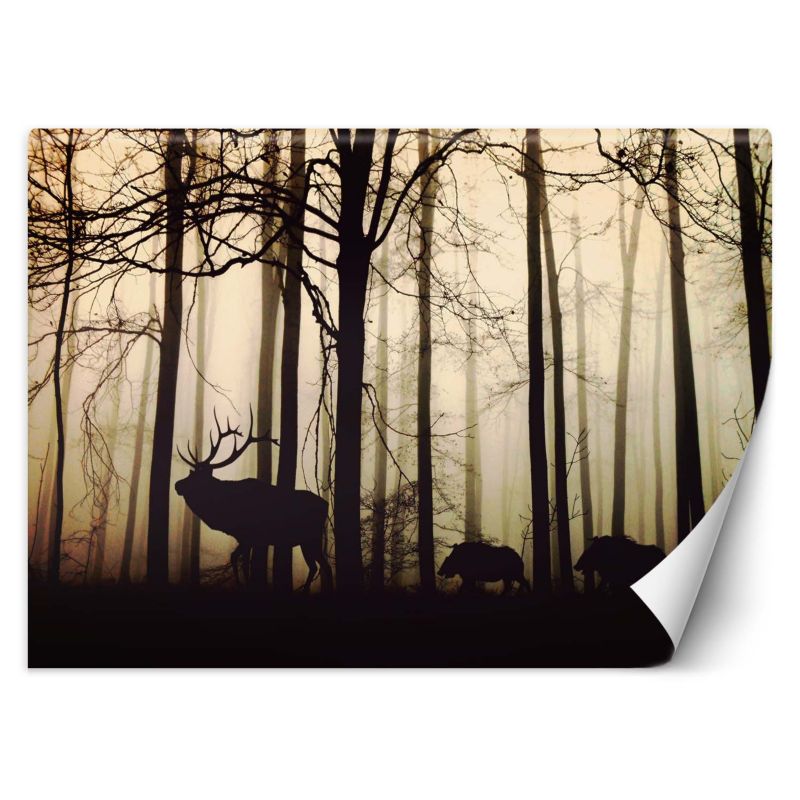 Fototapeta Feeby Zwierzęta w lesie  450x315 1 szt