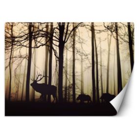 Fototapeta Feeby Zwierzęta w lesie  450x315 1 szt
