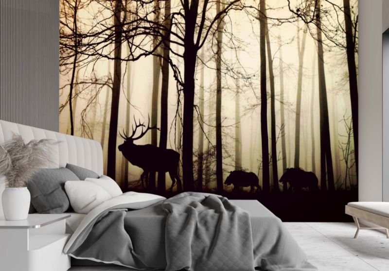 Fototapeta Feeby Zwierzęta w lesie  450x315 1 szt