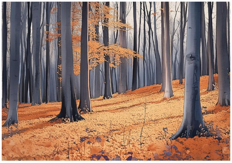 Fototapeta Las Drzewa Natura WALLARENA 300x210 cm Tapeta Ścienna Na Flizelinie 1 szt.