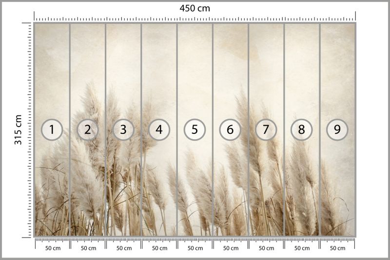 Fototapeta Muralo Trawy Kłosy Zboże 450x315 cm 1szt.