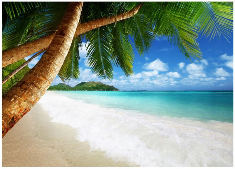 Fototapeta Na Flizelinie WALLARENA 400x280 cm Tapeta Do Sypialni Plaża Morze 1 szt.