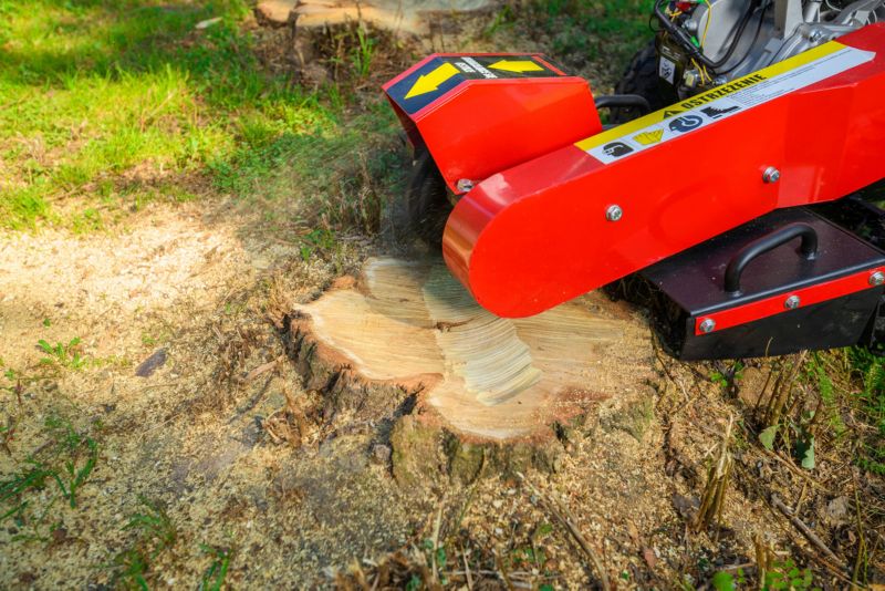 Frez Cedrus Fr01 Frezarka Do Usuwania Pni Korzeni Karczownik Drzew 15 Km 1szt.