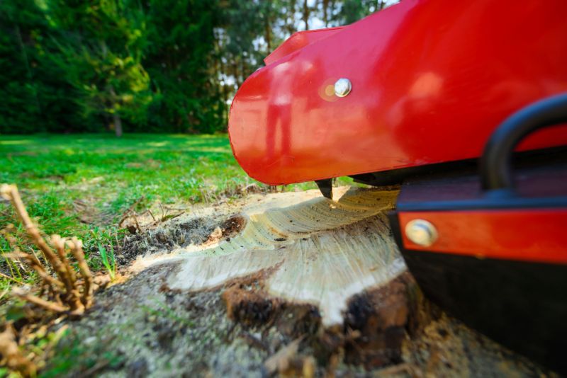 Frez Cedrus Fr01 Frezarka Do Usuwania Pni Korzeni Karczownik Drzew 15 Km 1szt.