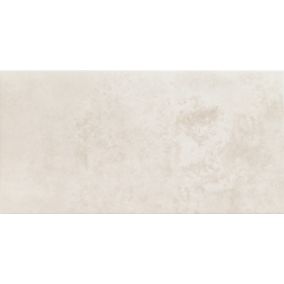 Glazura Neutral Arte 29,8 x 59,8 cm grey 1,07 m2