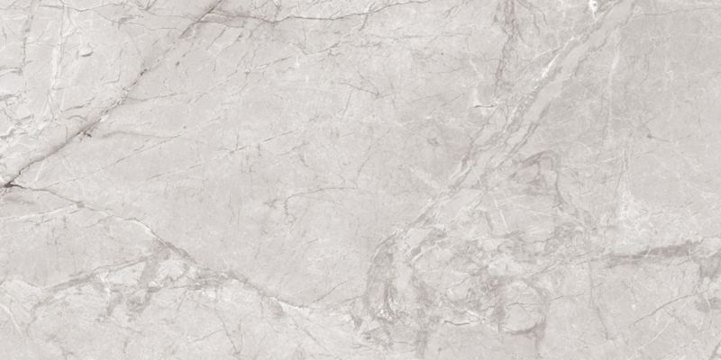 Gres Darwin Egen 60 x 120 cm bianco 2,16 m2