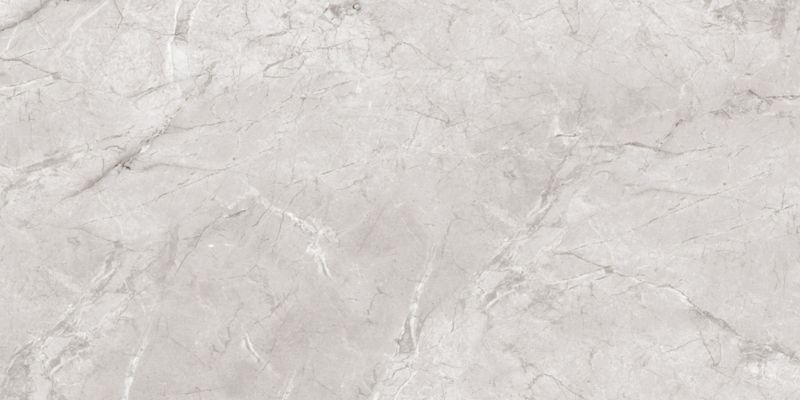 Gres Darwin Egen 60 x 120 cm bianco 2,16 m2