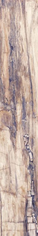 Dlažba Gravelwood 19,3 x 120,2 cm hnědá 1,16 m2.