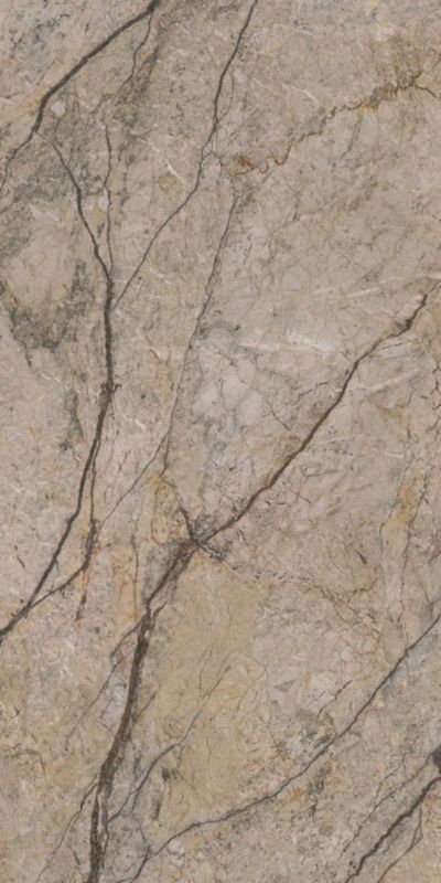 Gres mrozoodporny Castelis Paradyż 59,8 x 119,8 cm beige 1,43 m2