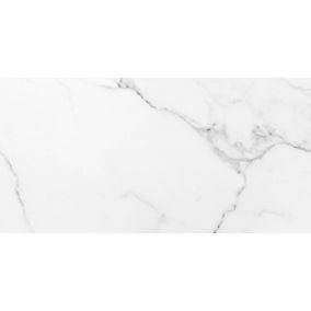 Gres mrozoodporny polerowany szkliwiony Lomero Ceramstic 120 x 60 cm biały 1,44 m2