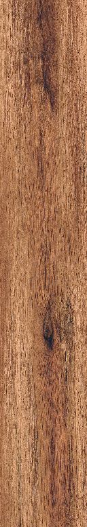 Gres mrozoodporny Pont 19,3 x 120 cm burn 1,16 m2