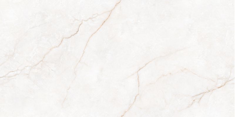 Gres mrozoodporny Stone Ceramstic 60 x 120 cm serpentina 1,44 m2