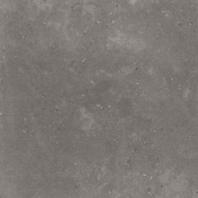 Gres mrozoodporny szkliwiony Atlanta 60 x 60 cm dark mat 1,44 m2
