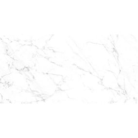 Gres mrozoodporny szkliwiony Calimo GoodHome 59,7 x 119,7 1,43 m2