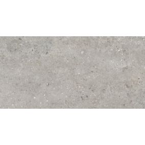 Gres mrozoodporny szkliwiony Cersanit Rialto 59,8 x 119,8 cm grey 1,43 m2