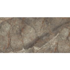 Gres mrozoodporny szkliwiony Colorado Egen 60 x 120 cm 2,16 m2