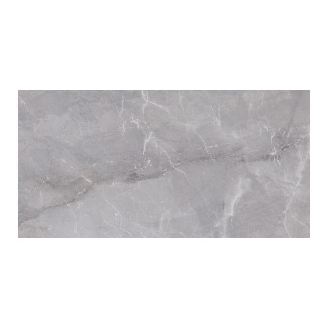 Gres mrozoodporny szkliwiony Empire 59,85 x 119,85 cm grey 1,43 m2