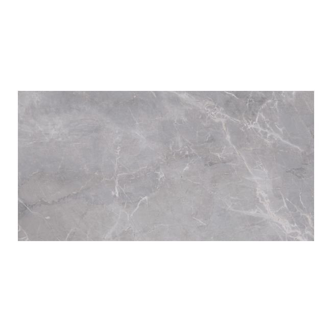 Gres mrozoodporny szkliwiony Empire 59,85 x 119,85 cm grey 1,43 m2