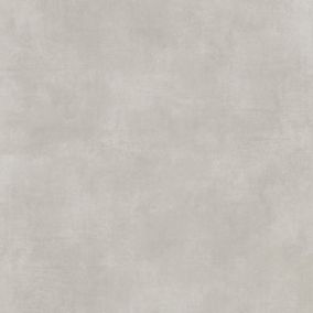 Gres mrozoodporny szkliwiony Kancoun GoodHome 59,8 x 59,8 cm light grey 1,07 m2