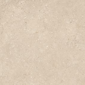 Gres mrozoodporny szkliwiony Kronos 60 x 60 cm taupe 1,8 m2