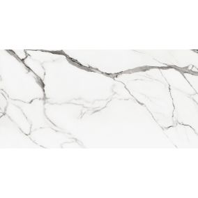 Gres mrozoodporny szkliwiony Laken Modelo Poler 60 x 120 cm biały 2,88 m2