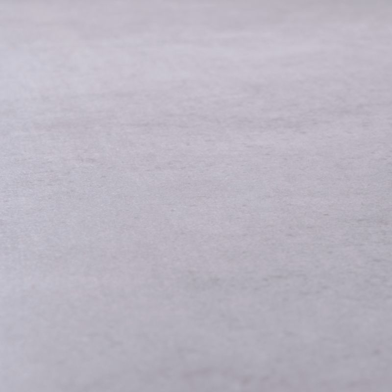 Gres mrozoodporny szkliwiony Litchou GoodHome 59,7 x 59,7 cm grey 1,43 m2