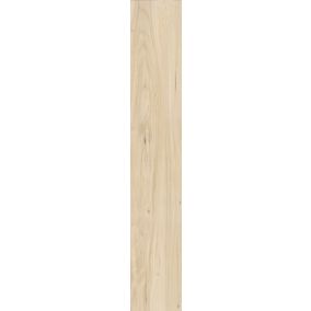 Gres mrozoodporny szkliwiony Savio 19,8 x 119,8 cm 1,19 m2