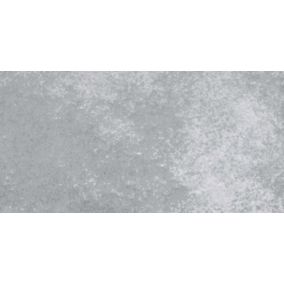 Gres mrozoodporny szkliwiony Slimtra 60 x 120 cm silver 2,88 m2