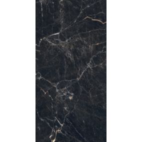 Gres mrozoodporny szkliwiony Veneto 119,8 x 59,8 cm black 1,43 m2