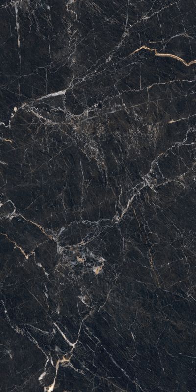Gres mrozoodporny szkliwiony Veneto Arte 59,8 x 119,8 cm black 1,43 m2