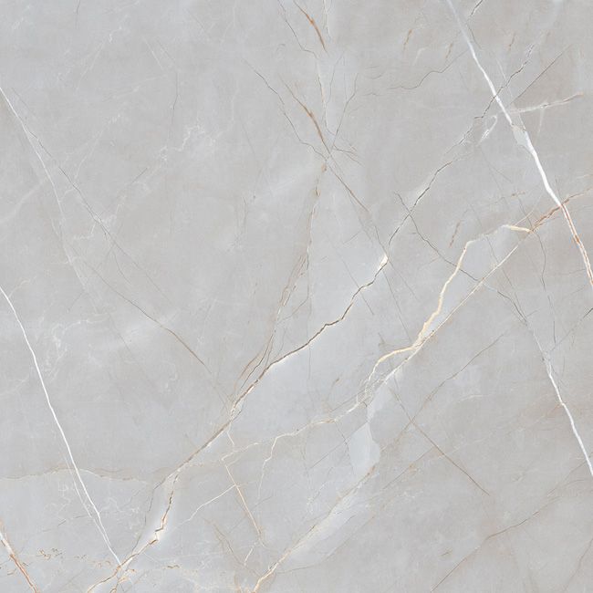 Gres mrozoodporny Voramar 60 x 60 cm srebrny 1,44 m2